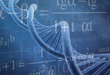 Sciences Expérimentales: que choisir, PC ou SVT ?