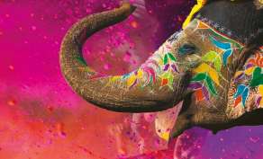 HEM Casablanca - BollyHEM, Soirée de Consécration