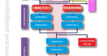ESMS: Filière Management des Entreprises