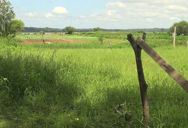 2014 مباراة ولوج معهد التقنين المتخصصين في الفلاحة بولاد تايمة