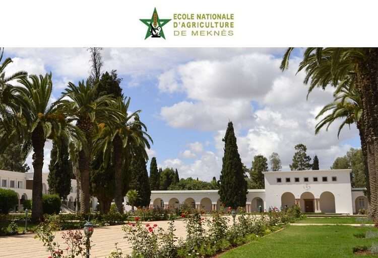 Ecole Nationale D'agriculture De Meknes