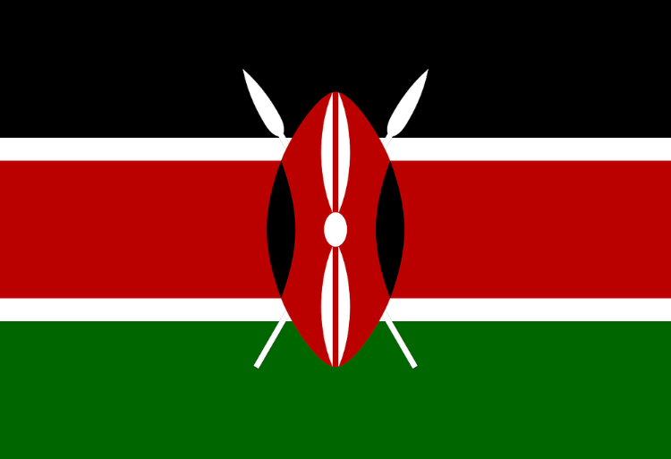 Bourses de l’Université Panafricaine au Kenya 2025-2026